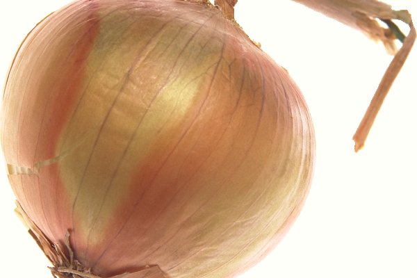 Мега что такое мориарти onion mega sbs